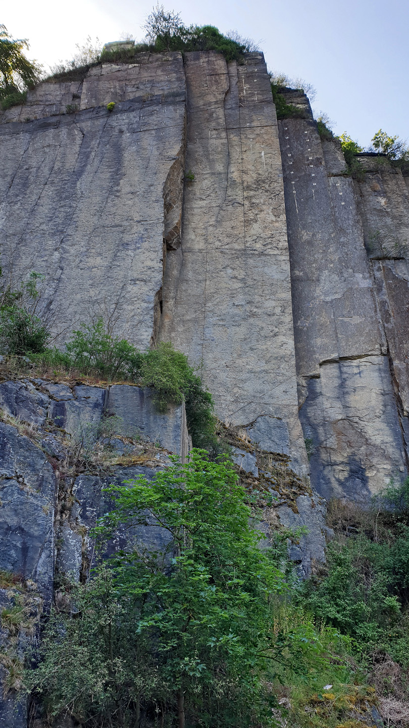 Schieferfelsen der Engelsley bei Altenahr